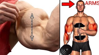 Top 14 Biceps Workouts at gym Biceps workout [upl. by Ahsika]