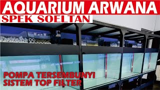 AQUARIUM ARWANA SPEK SOELTAN TERLENGKAP BERGARANSI [upl. by Dlorej107]