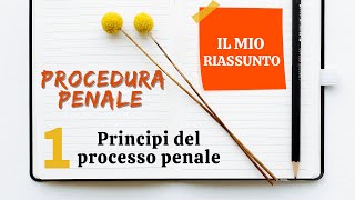 Procedura Penale  Capitolo 1 principi del processo penale [upl. by Ordnas]