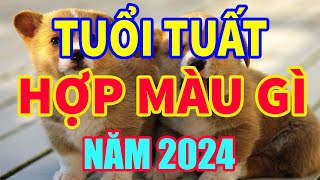 Tuổi Tuất hợp màu gì năm 2024 mang lại may mắn tài lộc mauhoptuoituat tuoituat2024 tuvituoituat [upl. by Eeladnerb]