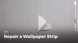 How to Repair a Strip of Wallpaper  DIY Projects [upl. by Ube240]