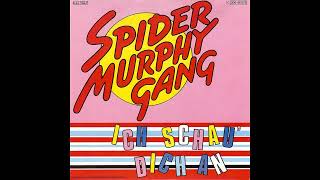 Spider Murphy Gang  Ich schau dich an  1982 [upl. by Cleve]