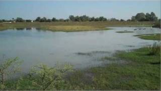 The chemical waste fields Bhopal [upl. by Otreblig]