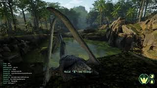 The NEW Pteranodon Gameplay  The Isle Evrima [upl. by Rafter]