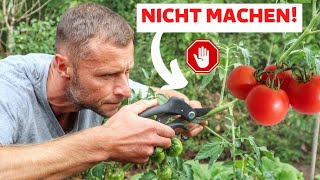 Tomaten NICHT kappen 🍅 Das ist der Grund [upl. by Ordnazil494]