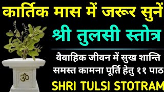 Tulsi Stotramतुलसी स्तोत्रम्कार्तिक मास में जरूर सुनें [upl. by Mylander532]