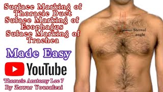surface marking of esophagus surface marking of trachea surface marking of thoracic duct [upl. by Nomra]