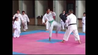 SHORINJI KEMPO KRANGGAN in ACTION 21 freesyle freestyle butterfly [upl. by Yelyak]