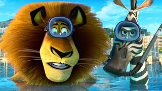 DreamWorks Madagascar em Português  Melhor Cena Aérea  A Grande Escapada  Desenhos Animados [upl. by Harrod]