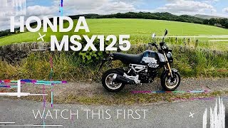 Honda MSX125 Is it any good [upl. by Aimar]