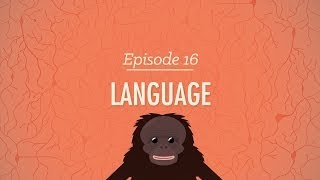 Language Crash Course Psychology 16 [upl. by Jenkins]