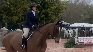 January 2024 WEF 1 1517 equitation flat class on “Chocolate Chip 12” [upl. by Chen755]