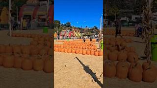 Fall Festival  Pumpkin patch in San Diego [upl. by Mellicent]