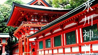 Hikawa Jinja Shrine  Omiya Saitama ᴴᴰ ● 氷川神社 大宮 [upl. by Enitsirt]