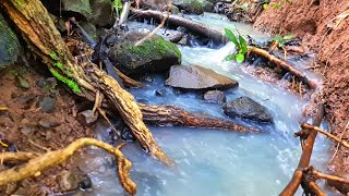 Nature Relaxation With Trickling Water Sounds In The Forest Very Peaceful Sounds [upl. by Ahsieker]