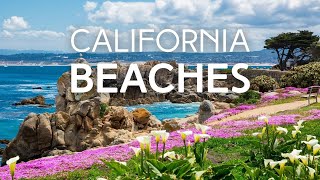 Top 10 Best Beaches in Orange County California [upl. by Nnaacissej]