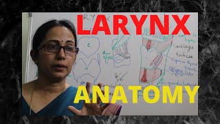 056Larynx Anatomy Part 12 anatomylectures larynx voice [upl. by Ja]