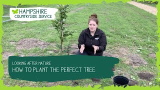 How to plant the perfect tree [upl. by Enos164]