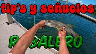 tips y señuelos para robalo fishing foryou parati [upl. by Andi]