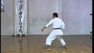 Enpi  Efthimios Karamitsos  Karate  Kata  Shotokan [upl. by Aehsat803]