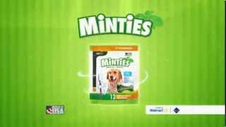 TV Spot  VetIQ  Minties  Freshen Up your Dogs Breath  Vet Recommended [upl. by Pinelli]