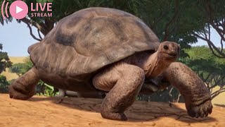 Aldabra Giant Tortoise  Planet Zoo [upl. by Accemahs]