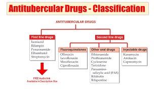 54 Antitubercular Drugs  Classification of Antitubercular Drugs According to First amp 2nd Lines [upl. by Ernald476]