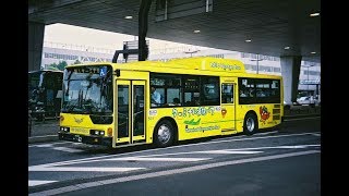 Narita Airport Transit Bus from Terminal 2 to Terminal 1 [upl. by Leynwad]