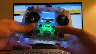 Flying your first RC Plane Sim with Bluetooth ELRS [upl. by Spiegleman447]