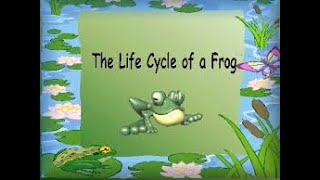 All about frogs  Life cycle of a Frog  Educational videos [upl. by Brooke]