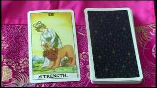 Strength Major Arcana 8  Meaning and Interpretation in a Tarot Reading [upl. by Oenire]