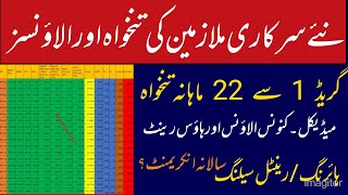 Pay and Allowances Salary New Appointed govt Employees 2023 24 Pakistan  rental celling details [upl. by Uoliram]