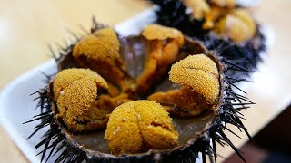 Japanese Street Food  GIANT SEA URCHIN Uni Sashimi Japan Seafood [upl. by Cyrano459]