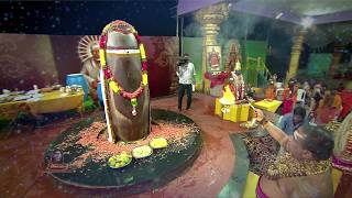 Lord Shiva Excellent Abhishekam  Siddhaguru  Ramanananda Maharshi [upl. by Cade]