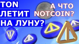 TON ЛЕТИТ НА ЛУНУ А NOTCOIN ЧТО ДВИГАЕТ ЦЕНУ ВВЕРХ✔️ [upl. by Vivianna]