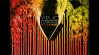 vitalic  flashmob [upl. by Sirred]