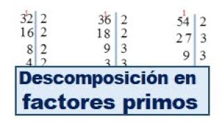 Descomposición de factores primos ejercicios resueltos [upl. by Eidaj410]