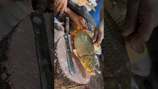 Amazing Carp Fish Cutting Skills Live [upl. by Lamag906]