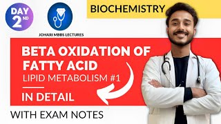 beta oxidation of fatty acid biochemistry  fatty acid oxidation pathway  fatty acid metabolism [upl. by Fabrienne]