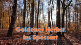 Goldene Herbstwanderung im Spessart [upl. by Ithsav]