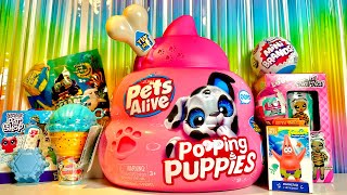 Сюрприз MIX PETS ALIVE POOPING PUPPIES 5 SURPRISE MINI BRANDS NA NA NA LOL LITTLET PET SHOP [upl. by Eltsirk]