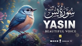 Ramadan Worlds most beautiful Quran recitation of Surah Yasin Yaseen سورة يس  Zikrullah TV [upl. by Ikeda]