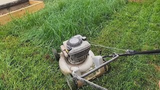 Lawn Mowing  MASPORT and VICTA take on OVERGROWN yard  PLUS Pressure Washing Concrete Path [upl. by Llenra]