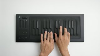 Roli Seaboard RISE 25 Overview [upl. by Wallache415]