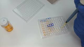 Dilution of TPHA Siphylis positive TPHA positive laboratory Dilution de TPHA positif مرض الزهري [upl. by Amalburga]