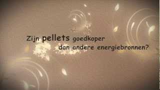 FAQ Zijn pellets goedkoper dan traditionele verwarming gas mazout hout [upl. by Ave734]