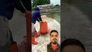 Khatron ka Khiladi interest video crocodile alligator animals wildlife 🐊🙄 [upl. by Anauqed]