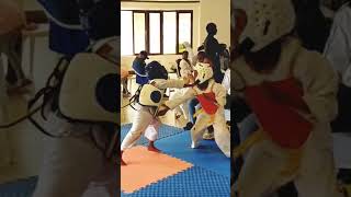 Intense Taekwondo Battle Fighter vs Fierce Opponent taekwondokick kickingdrills roundkick [upl. by Adner]