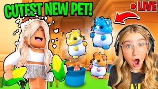 NEW Hamsters UPDATE in Adopt Me Neon Diamond Hamster Roblox LIVE [upl. by Reve]