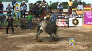 RANCHO EL SOLITO Y TRINI NAVA EN LA HERRADURA DE CHICAGOIL [upl. by Usanis]